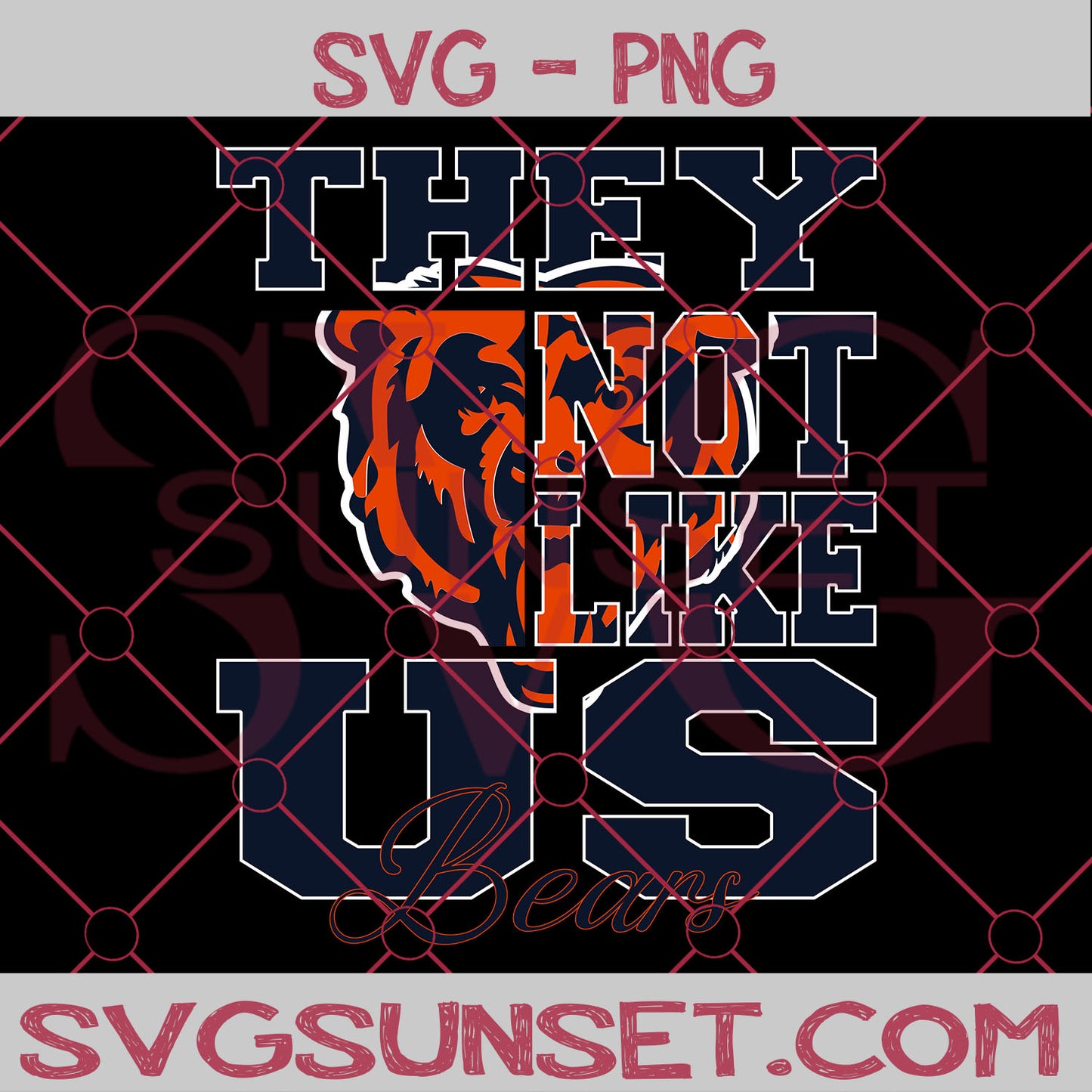 They NOt Like us Bears SVG, Chicago Bears Svg, They Not Like us Svg, NFL Team Logo Svg