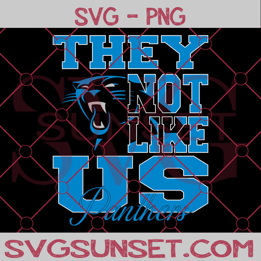 They NOt Like us Panthers SVG, Carolina Panthers Svg, They Not Like us Svg, NFL Team Logo Svg